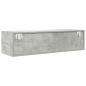 Preview: TV-Schrank Betongrau 100x31x25,5 cm Holzwerkstoff