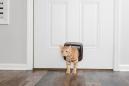 Preview: PetSafe Katzenklappe mit manueller Verriegelung braun