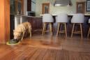 Preview: PetSafe Trinkbrunnen Drinkwell Strömung M