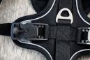 Preview: Curli Magnetic Belka Comfort Geschirr Schwarz L