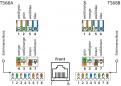 Preview: Metz Connect 130924-E E-DAT modul 48x8(8) 1,5HE Patchfeld Cat.6A, Edelstahl