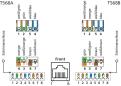 Preview: Metz Connect 1309300301-E E-DAT subway 3 Port GB2, perlweiß