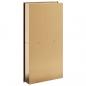 Preview: Duschnische Golden Gebürstet 32x62x9 cm Edelstahl