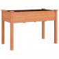 Preview: Pflanzkübel mit Einsatz und Rollen Braun 118x59x80cm Tannenholz