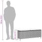Preview: Gartenbank mit Kissen Beige 110x30x40,5 cm Poly Rattan