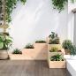 Preview: Pflanzentreppe 4 Stufen 80,5x79x36 cm Massivholz Kiefer
