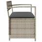 Preview: Gartenbank mit Stauraum und Kissen Hellgrau Poly Rattan