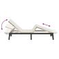 Preview: Sonnenliege mit Auflage Beige Poly Rattan
