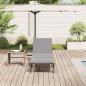 Preview: ARDEBO.de - Sonnenliege mit Auflage Beige Poly Rattan