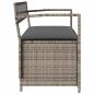Preview: Gartenbank mit Stauraum und Kissen Grau Poly Rattan
