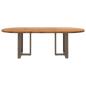 Preview: Esstisch Hellbraun 240x100x74 cm Massivholz Eiche Oval