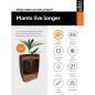 Preview: Capi Vase Clay Elegant Deluxe 50x72 cm Elfenbeinfarben