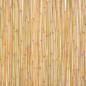 Preview: Gartenzaun Bambus 300 x 100 cm