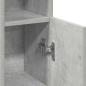 Preview: Badezimmerschrank mit Rollenhalter Betongrau 20,5x22x90 cm