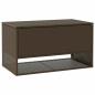 Preview: Outdoor-Kissenbox Braun 100x55x55,5 cm Poly Rattan