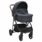 Preview: 2-in-1 Kinderwagen Anthrazit und Schwarz Stahl