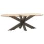 Preview: Couchtischbein in Spinnenform Naturstahl 98x58x(42-43) cm Stahl