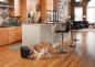 Preview: PetSafe Healthy Pet Simply Feed Futterautomat digital und programmierbarer 