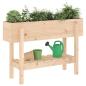 Preview: Hochbeet 101x30x69 cm Massivholz Kiefer