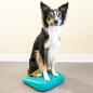 Preview: FitPAWS Balance-Rampe für Hautiere 35x35x7 cm Blau