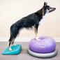 Preview: FitPAWS Balance-Rampe für Hautiere 35x35x7 cm Blau