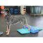 Preview: FitPAWS Balance-Rampe für Hautiere 35x35x7 cm Blau