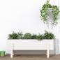 Preview: ARDEBO.de - Hochbeet Weiß 101x30x38 cm Massivholz Kiefer