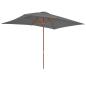 Preview: Sonnenschirm mit Holz-Mast 200x300 cm Anthrazit