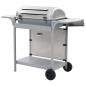 Preview: Gasgrill mit 6 Flammen Edelstahl Silbern