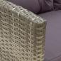 Preview: 2-tlg. Garten-Lounge-Set mit Kissen Poly Rattan Grau