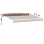 Preview: Markise Automatisch Braun 300x250 cm