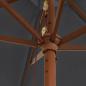 Preview: Sonnenschirm mit Holzmast Schwarz 299x240 cm