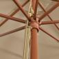 Preview: Sonnenschirm mit Holzmast Taupe 400x273 cm