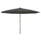 Preview: Sonnenschirm mit Holzmast Anthrazit 400x273 cm