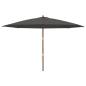 Preview: Sonnenschirm mit Holzmast Anthrazit 400x273 cm