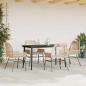 Preview: 5-tlg. Garten-Essgruppe mit Kissen Braun Poly Rattan Glas