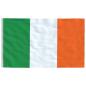 Preview: Flagge Irlands 90 x 150 cm