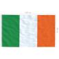 Preview: Flagge Irlands 90 x 150 cm