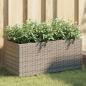 Preview: ARDEBO.de - Hochbeet mit 2 Fächern Grau 72x30x32 cm Poly Rattan