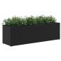 Preview: Hochbeet mit 3 Fächern Schwarz 105x30x32 cm Poly Rattan