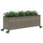 Preview: Pflanzkübel mit Rollen 3 Töpfe Grau 107x32x38 cm Poly-Rattan