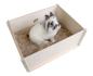 Preview: ARDEBO.de Bunny Buddelkiste 50 x 39 x 19,5 cm