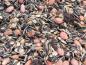 Preview: Classic Bird Wildvogelfutter 2,5kg ohne Hirse (Menge: 4 je Bestelleinheit)