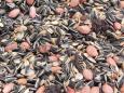 Preview: Classic Bird Wildvogelfutter 2,5kg ohne Hirse (Menge: 4 je Bestelleinheit)