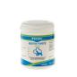 Preview: Canina Biotin Forte Pulver 500g