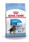 Preview: ARDEBO.de Royal Canin Maxi Puppy 4kg