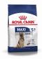 Preview: ARDEBO.de Royal Canin Maxi Adult 5+    4kg