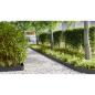 Preview: Raseneinfassung 50 pcs 100 x 0,05 x 20 cm Kalt gewalzter Stahl