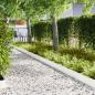 Preview: Raseneinfassung 50 pcs 100 x 0,05 x 20 cm Kalt gewalzter Stahl