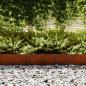 Preview: Raseneinfassung 50 pcs 100 x 0,05 x 20 cm Wetterfeststahl